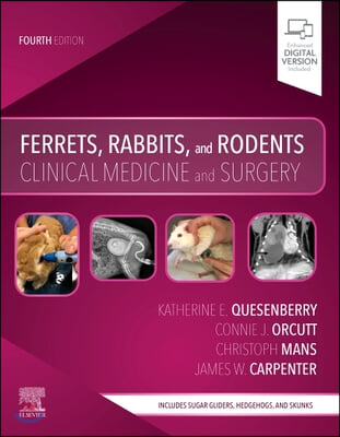 Ferrets, Rabbits, and Rodents: Clinical Medicine and Surgery