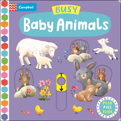 Busy Baby Animals