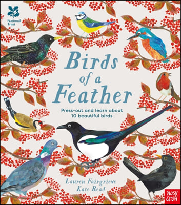 The National Trust: Birds of a Feather: Press out and learn about 10 beautiful birds