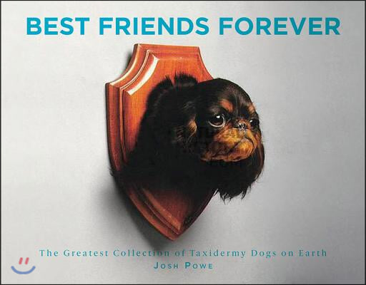 Best Friends Forever: The Greatest Collection of Taxidermy Dogs on Earth