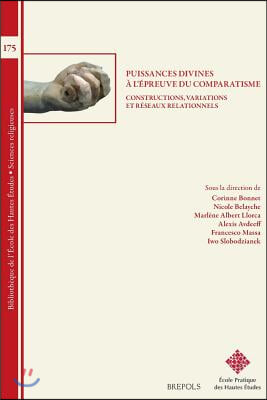 Puissances Divines a l&#39;Epreuve Du Comparatisme: Constructions, Variations Et Reseaux Relationnels