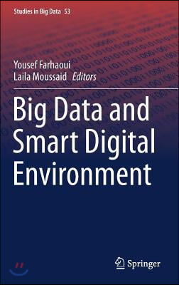 Big Data and Smart Digital Environment