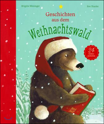 Geschichten Aus Dem Weihnachtswald