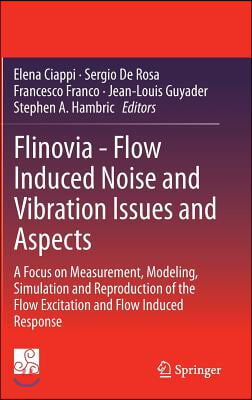 Flinovia - Flow Induced Noise and Vibration Issues and Aspects: A Focus on Measurement, Modeling, Simulation and Reproduction of the Flow Excitation a