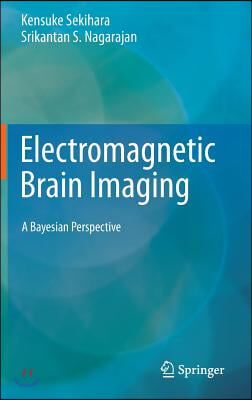 Electromagnetic Brain Imaging: A Bayesian Perspective