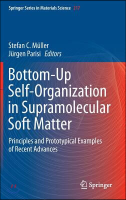 Bottom-Up Self-Organization in Supramolecular Soft Matter: Principles and Prototypical Examples of Recent Advances