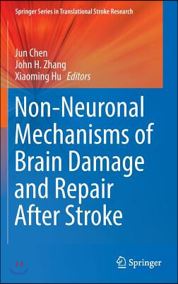 Non-Neuronal Mechanisms of Brain Damage and Repair After Stroke