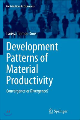 Development Patterns of Material Productivity: Convergence or Divergence?