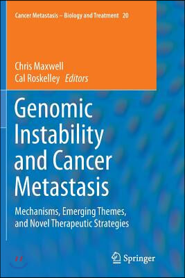 Genomic Instability and Cancer Metastasis: Mechanisms, Emerging Themes, and Novel Therapeutic Strategies