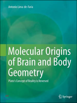 Molecular Origins of Brain and Body Geometry: Plato's Concept of Reality Is Reversed