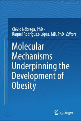 Molecular Mechanisms Underpinning the Development of Obesity