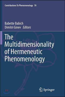 The Multidimensionality of Hermeneutic Phenomenology