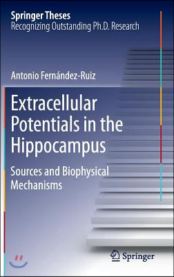 Extracellular Potentials in the Hippocampus: Sources and Biophysical Mechanisms