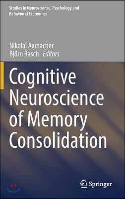 Cognitive Neuroscience of Memory Consolidation