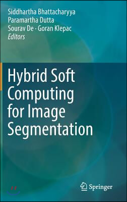 Hybrid Soft Computing for Image Segmentation