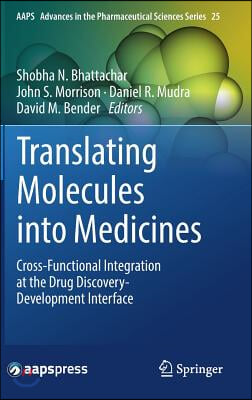 Translating Molecules Into Medicines: Cross-Functional Integration at the Drug Discovery-Development Interface