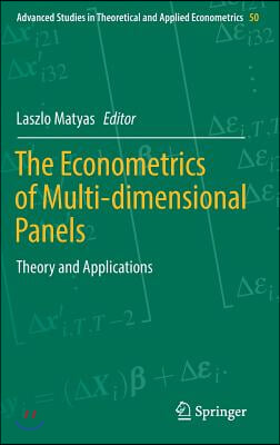 The Econometrics of Multi-Dimensional Panels: Theory and Applications