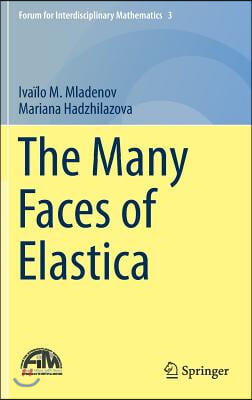 The Many Faces of Elastica