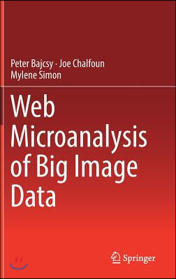 Web Microanalysis of Big Image Data