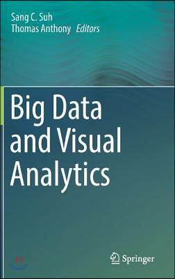 Big Data and Visual Analytics