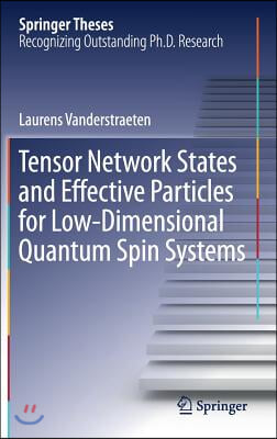 Tensor Network States and Effective Particles for Low-Dimensional Quantum Spin Systems