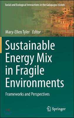 Sustainable Energy Mix in Fragile Environments: Frameworks and Perspectives