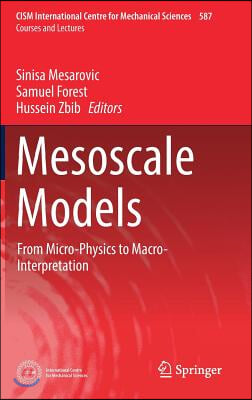 Mesoscale Models: From Micro-Physics to Macro-Interpretation