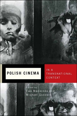 Polish Cinema in a Transnational Context