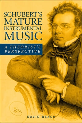 Schubert's Mature Instrumental Music: A Theorist's Perspective