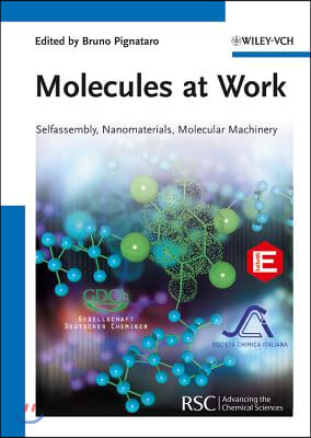 Molecules at Work: Selfassembly, Nanomaterials, Molecular Machinery