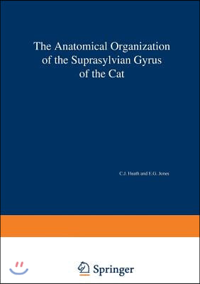 The Anatomical Organization of the Suprasylvian Gyrus of the Cat