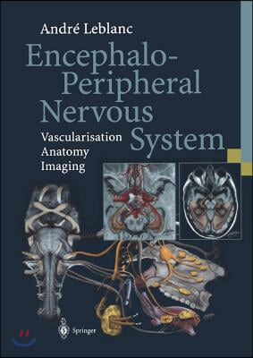 Encephalo-Peripheral Nervous System: Vascularisation Anatomy Imaging