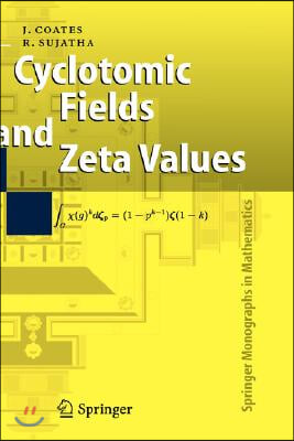 Cyclotomic Fields and Zeta Values