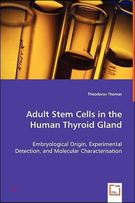 Adult Stem Cells in the Human Thyroid Gland - Embryological Origin, Experimental Detection, and Molecular Characterisation