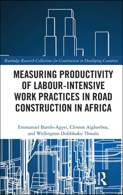 Measuring Productivity of Labour-Intensive Work Practices in Road Construction in Africa