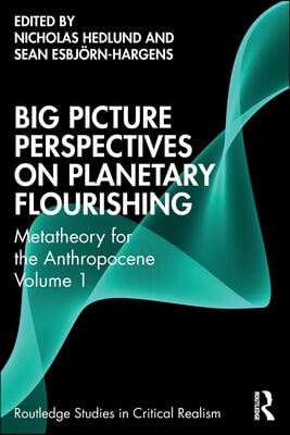 Big Picture Perspectives on Planetary Flourishing