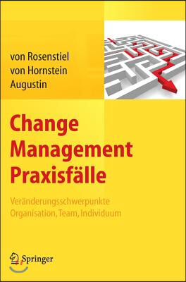 Change Management Praxisfalle: Veranderungsschwerpunkte Organisation, Team, Individuum