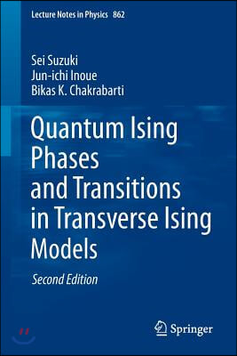 Quantum Ising Phases and Transitions in Transverse Ising Models