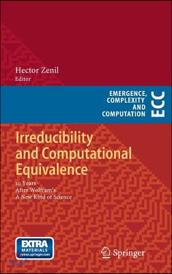 Irreducibility and Computational Equivalence: 10 Years After Wolfram&#39;s a New Kind of Science