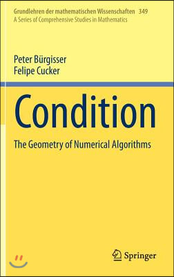 Condition: The Geometry of Numerical Algorithms