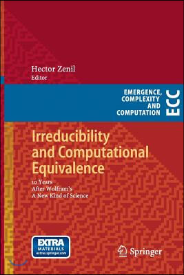 Irreducibility and Computational Equivalence: 10 Years After Wolfram's a New Kind of Science