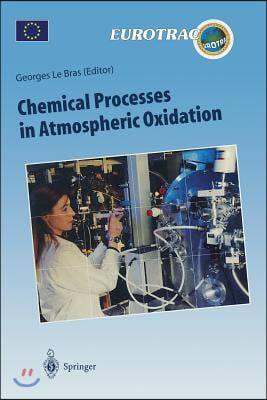 Chemical Processes in Atmospheric Oxidation: Laboratory Studies of Chemistry Related to Tropospheric Ozone