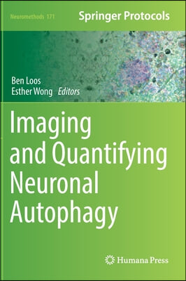 Imaging and Quantifying Neuronal Autophagy