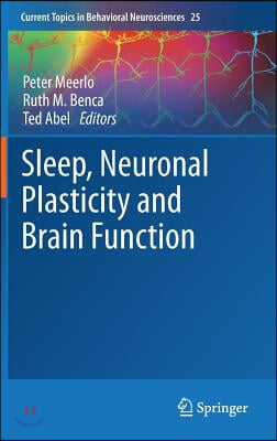 Sleep, Neuronal Plasticity and Brain Function