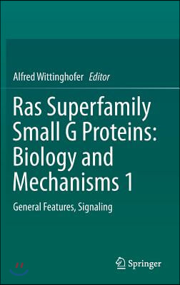 Ras Superfamily Small G Proteins: Biology and Mechanisms 1: General Features, Signaling