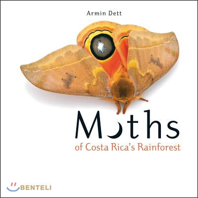 Moths of Costa Rica&#39;s Rainforest