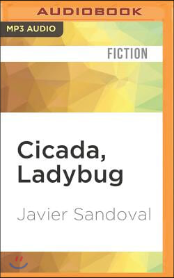 Cicada, Ladybug