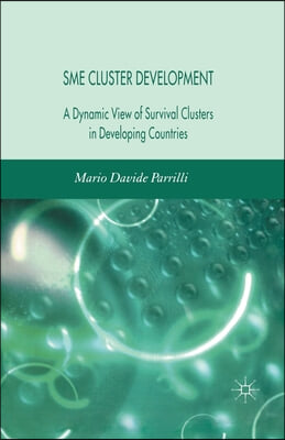 Sme Cluster Development: A Dynamic View of Survival Clusters in Developing Countries