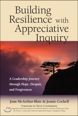 Building Resilience with Appreciative Inquiry: A Leadership Journey Through Hope, Despair, and Forgiveness
