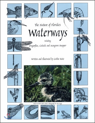 The Nature of Florida's Waterways: Including Dragonflies, Cattails, and Mangrove Snapper